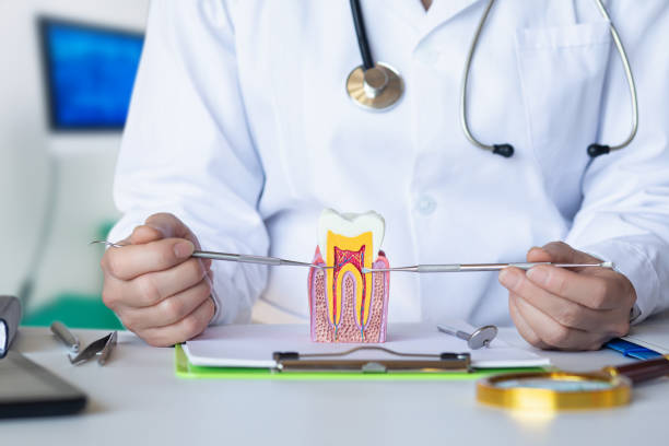 Best Orthodontic Emergency Dentist in Meridian, CO